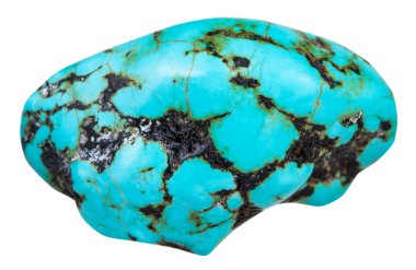 pebble of blue Howlite (turquenite) gemstone clipart