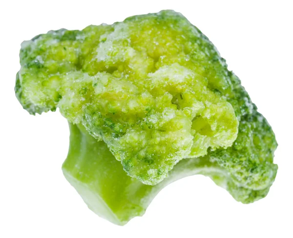 One frozen broccoli flower head isolated — Stock Photo, Image