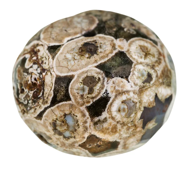 Ball från Madagaskar Rhyolite (turritella Agate) — Stockfoto