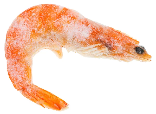 Un camarón rojo cocido congelado aislado en blanco —  Fotos de Stock