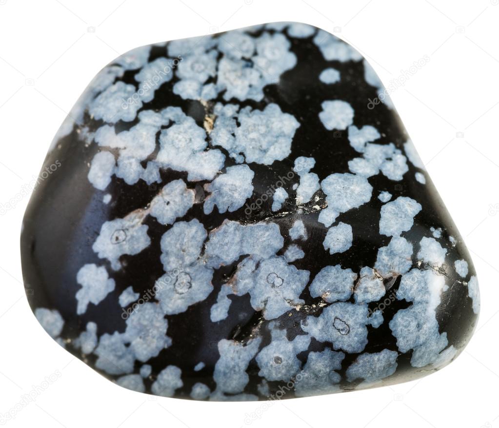Polished Gray Snowflake Obsidian Gemstone Isolated Stock Photo By C Vvoennyy Polished Gray Snowflake Obsidian Gemstone Isolated Stock Photo By C Vvoennyy