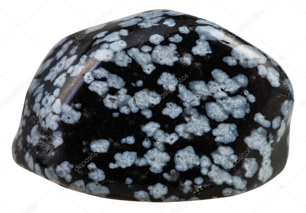 Tumbled Gray Snowflake Obsidian Gemstone Isolated Stock Photo By C Vvoennyy