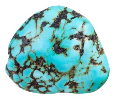 polished blue Howlite (turquenite) gemstone clipart