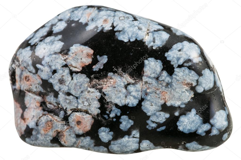 Pebble Of Gray Snowflake Obsidian Gemstone Stock Photo Image By C Vvoennyy