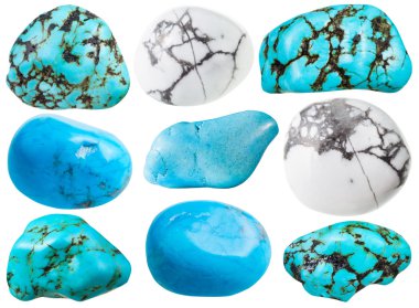 set of various howlite natural mineral gemstones clipart
