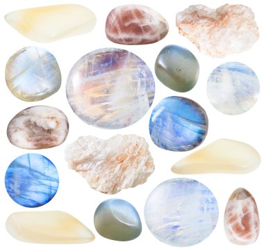 set of various moonstone (adularia) gemstones clipart