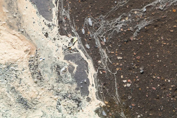 Πολλοί σημύδα γύρη σε λακκούβα μετά από βροχή άνοιξη — Φωτογραφία Αρχείου