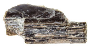 specimen of Muscovite (common mica) isolated clipart