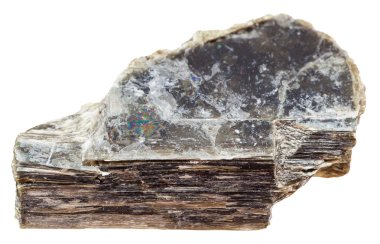 stone of Muscovite (common mica) isolated clipart