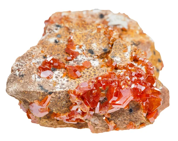 Druso di cristalli di vanadinite rossa su roccia isolata — Foto Stock