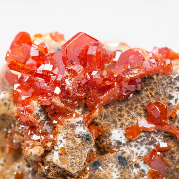 Druso di cristalli di vanadinite rossa su pietra primo piano — Foto Stock