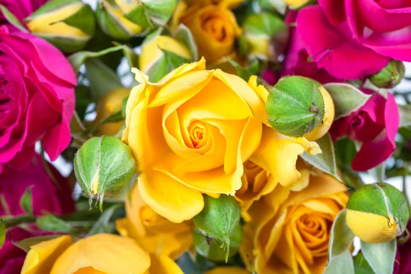 Yellow rose spray flower with buds in bouquet — Stock Photo, Image