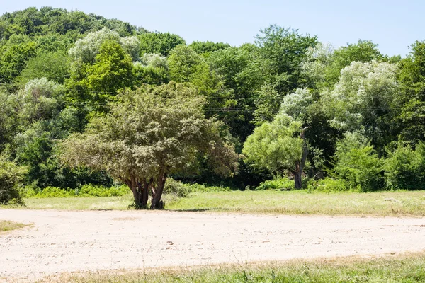 Lage berglandschap in de noordelijke Kaukasus — Stockfoto