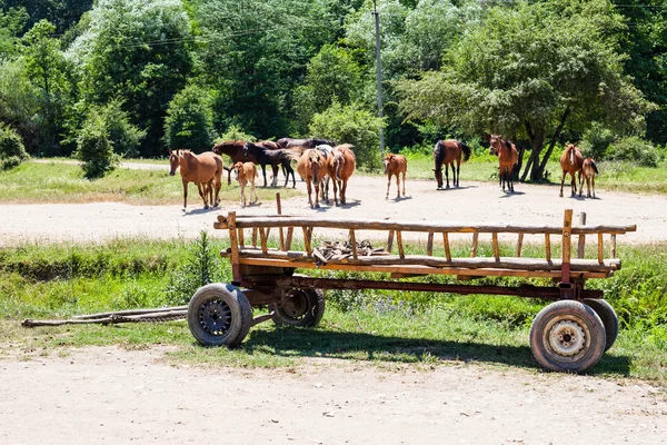 Rural landscape with horses and wooden cart — Stock Photo, Image