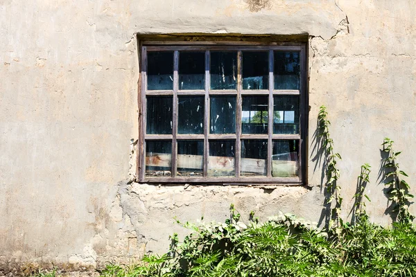 Okno v staré omšelé budovy — Stock fotografie