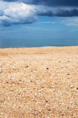 shelly ve kum plaj yüzeyine yakın çekim