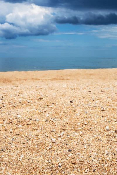 Surface of shelly and sand beach close up — Stock Photo, Image