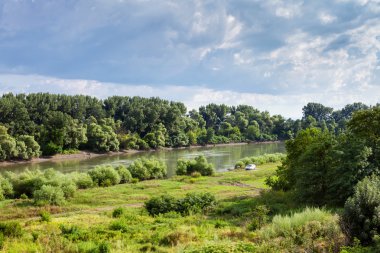 yaz günü Kuban Nehri boyunca yeşil çayır
