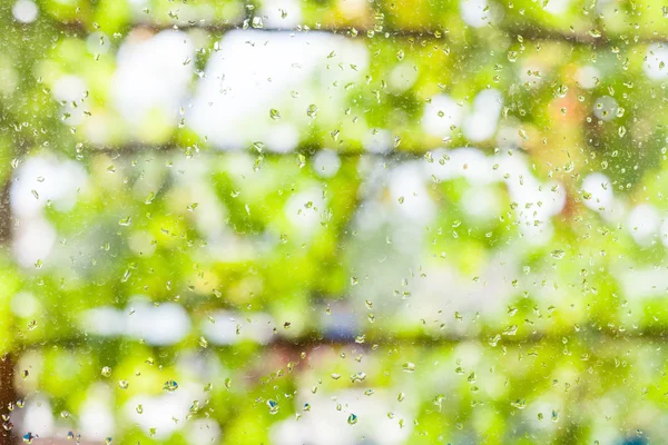 Gotas de lluvia en la ventana y viñedo borroso — Foto de Stock