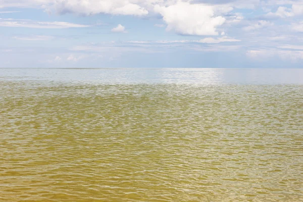 Gul grönt vatten Azovska sjön — Stockfoto