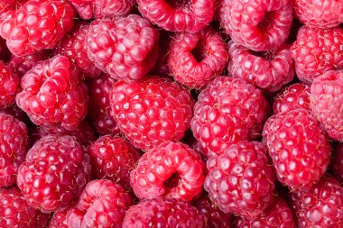 birçok meyveler olgun ahududu yakın çekim