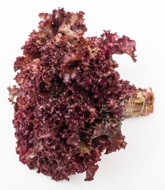 taze yaprak marul lollo rosso beyaz grup