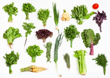 various bunches of fresh kitchen herbs clipart