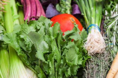 taze demet kesilmiş yeşil yakın çekim