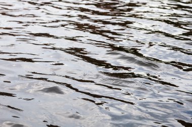 su yüzeyi Hafif esinti