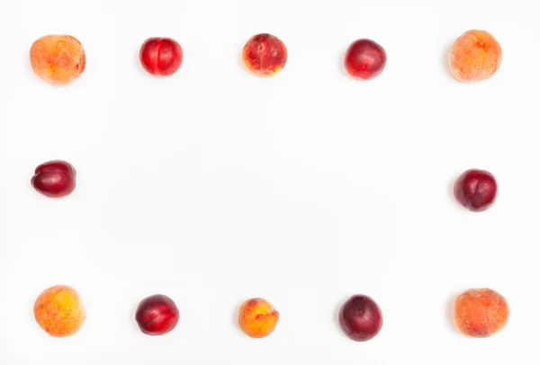 Quadro de nectarinas maduras e pêssegos — Fotografia de Stock