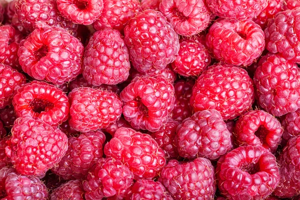 Viele Beeren von frischen Himbeeren aus nächster Nähe — Stockfoto