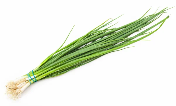 Куча свежевырезанного зеленого лука лука на белом — стоковое фото