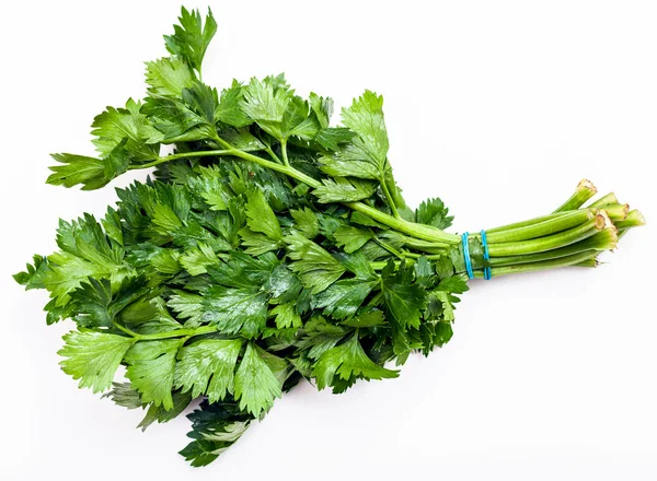 Bouquet d'herbes de céleri vert coupées fraîches sur blanc — Photo