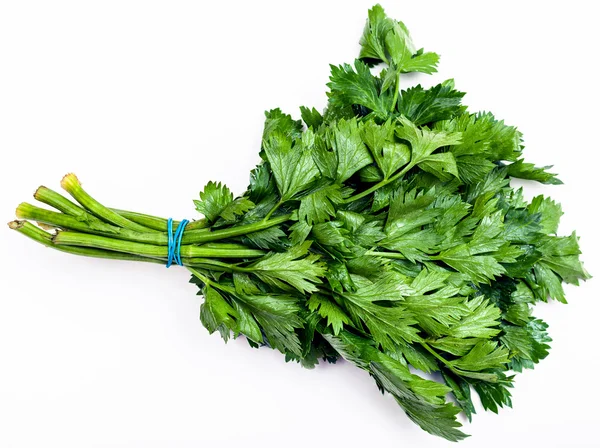 Mazzo di foglie di sedano verde tagliato fresco su bianco — Foto Stock