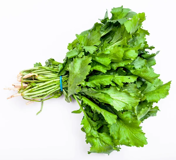 Mazzo di erba fresca di crescione verde su bianco — Foto Stock