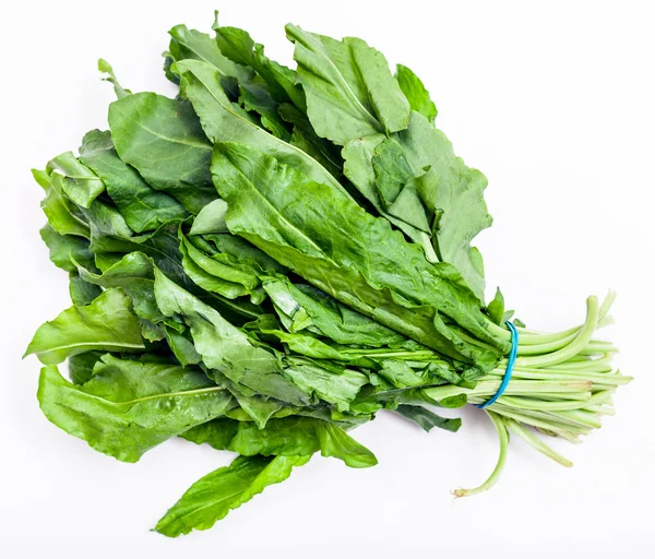 Bunch of fresh cut green sorrel leaves on white — Stock Photo, Image