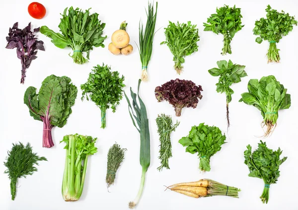 Berbagai macam kumpulan rumput kuliner segar — Stok Foto