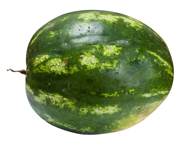 Side view of ripe whole watermelon isolated — Stock Photo, Image