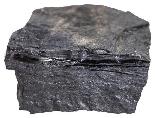 Carbonateuze leisteen steen (slaty Coal Bone) — Stockfoto