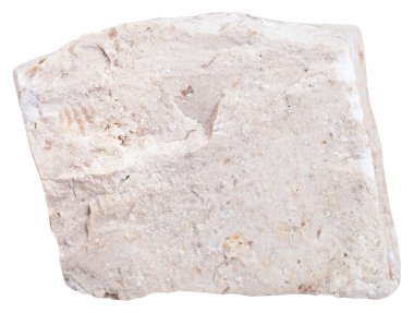 kemojenik Kireçtaşı minerali yalıtılmış parçası