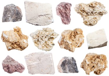collection from specimens of limestone rock clipart