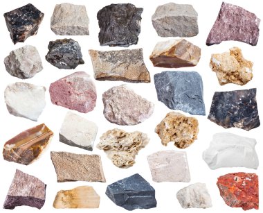 collection of sedimentary rock specimens clipart