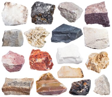 set of sedimentary rock specimens clipart