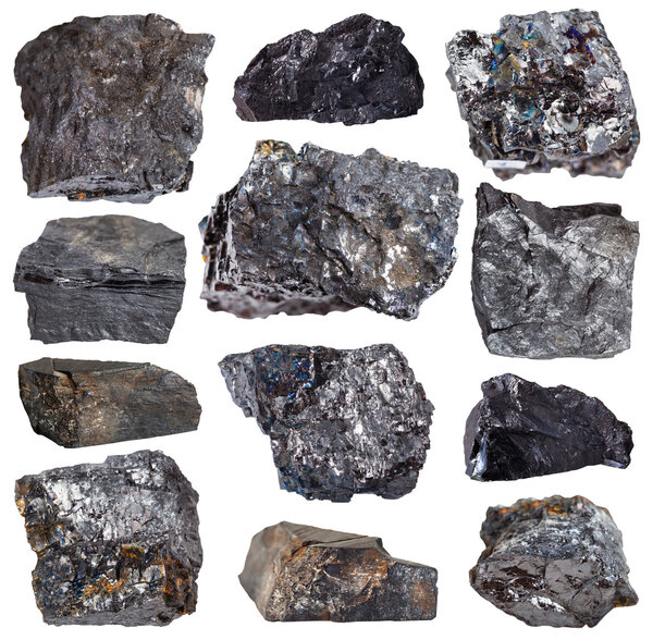 collection from specimens of various coal minerals