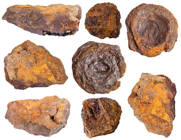 Numuneler koleksiyonundan limonite cevheri — Stok fotoğraf