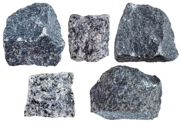 Colección de especímenes de roca de Gabbro — Foto de Stock