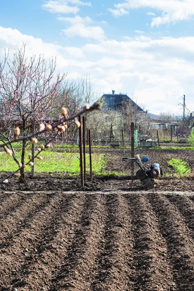 Plough garden ground and tiller in village — Stock Photo, Image