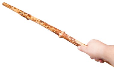 ahşap ağaç gövdesi izole personelinden kol