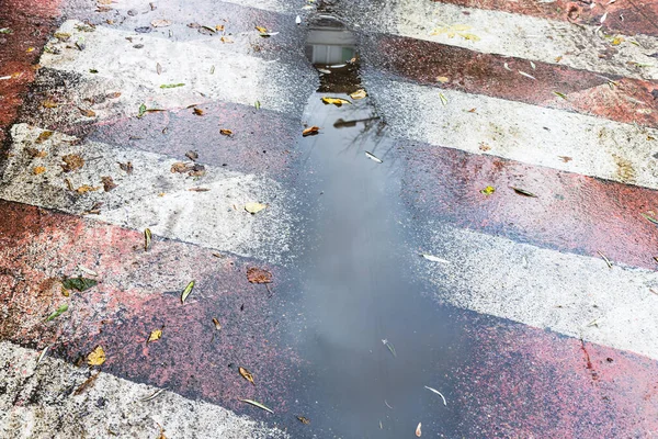 Muddy Rain Puddle Fire Road Surface Marking City Autumn Day — Stock Photo, Image