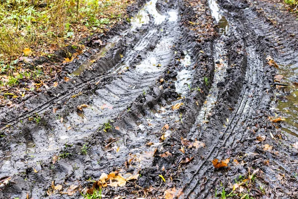 Route Campagne Humide Sale Avec Des Flaques Eau Pluie Jour — Photo